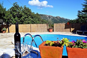 Pool - Apartment with Private Pool, Mountain View (Stepcici)