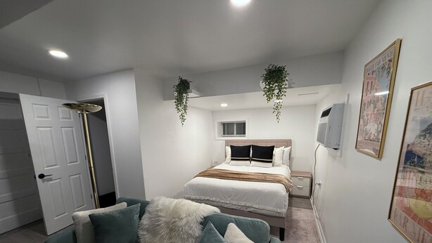 A modern bedroom with a bed, a sofa, and a hanging plant.