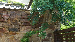 A stone wall with a tree growing through it, a green trash bin, and a wooden fence. - The very special vacation apartment (Bingen am Rhein)