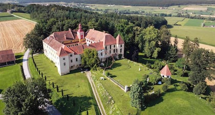 Stylish short break in the Renaissance castle Kalsdorf - Apartment Wildenstein