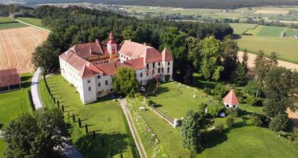Cool apartment in the Renaissance castle of Kalsdorf - Apartment Herbersdorf