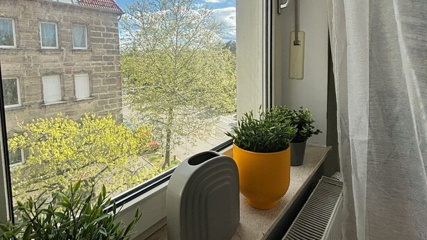 Une fenêtre donnant sur un immeuble, une plante en pot et un radiateur.