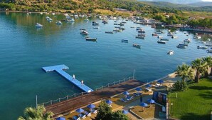 Vista da propriedade