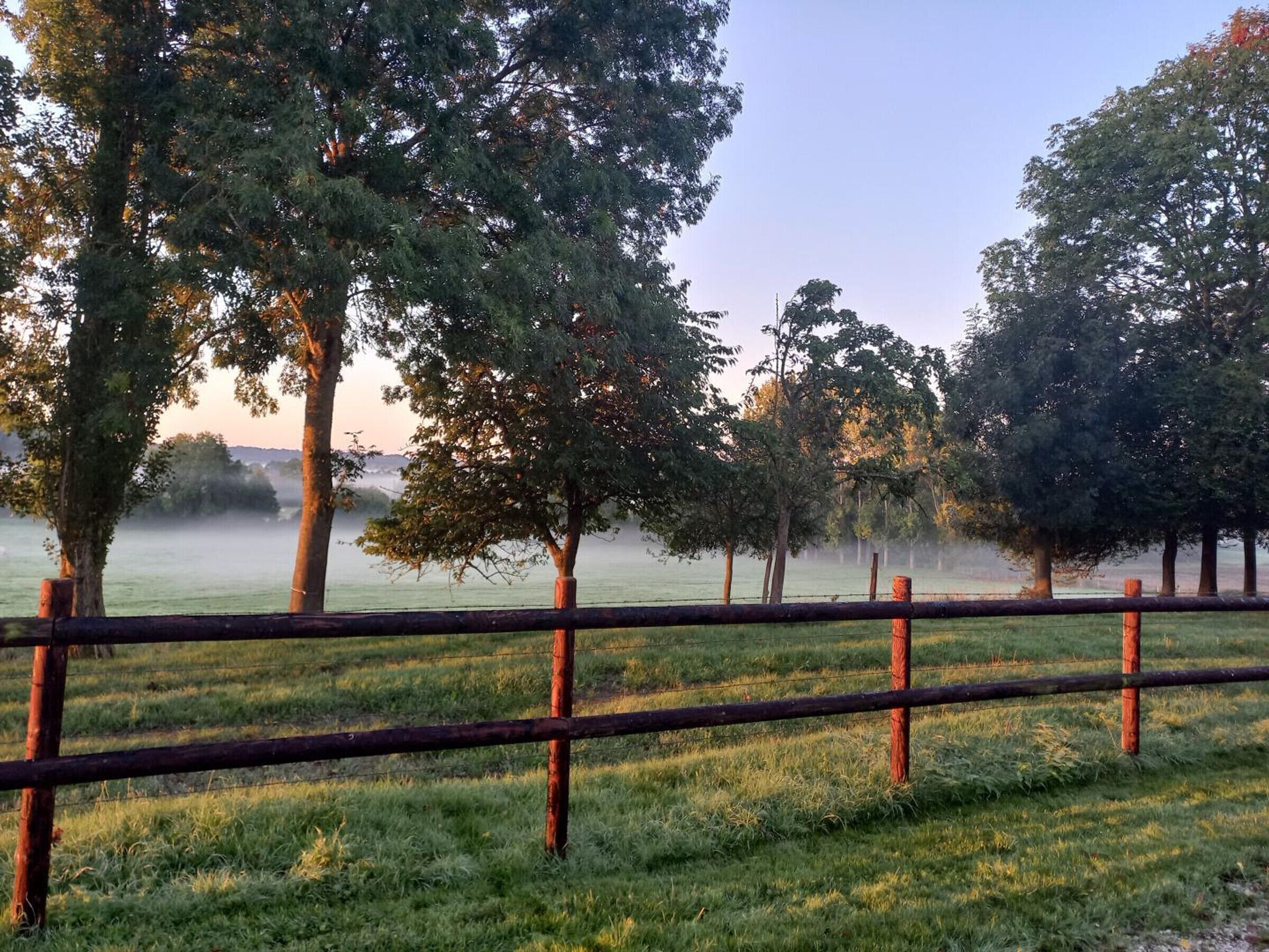 Ein grasbewachsenes Feld mit Bäumen und einem Holzzaun.