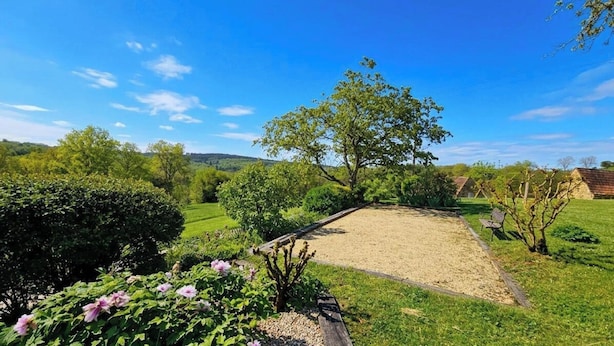 A grassy outdoor area with a wooden bench, a tree, and a clear blue sky.