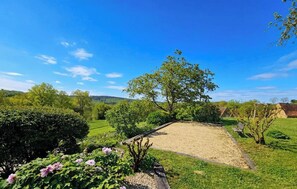 Un espace extérieur verdoyant avec un banc en bois, un arbre et un ciel bleu dégagé.