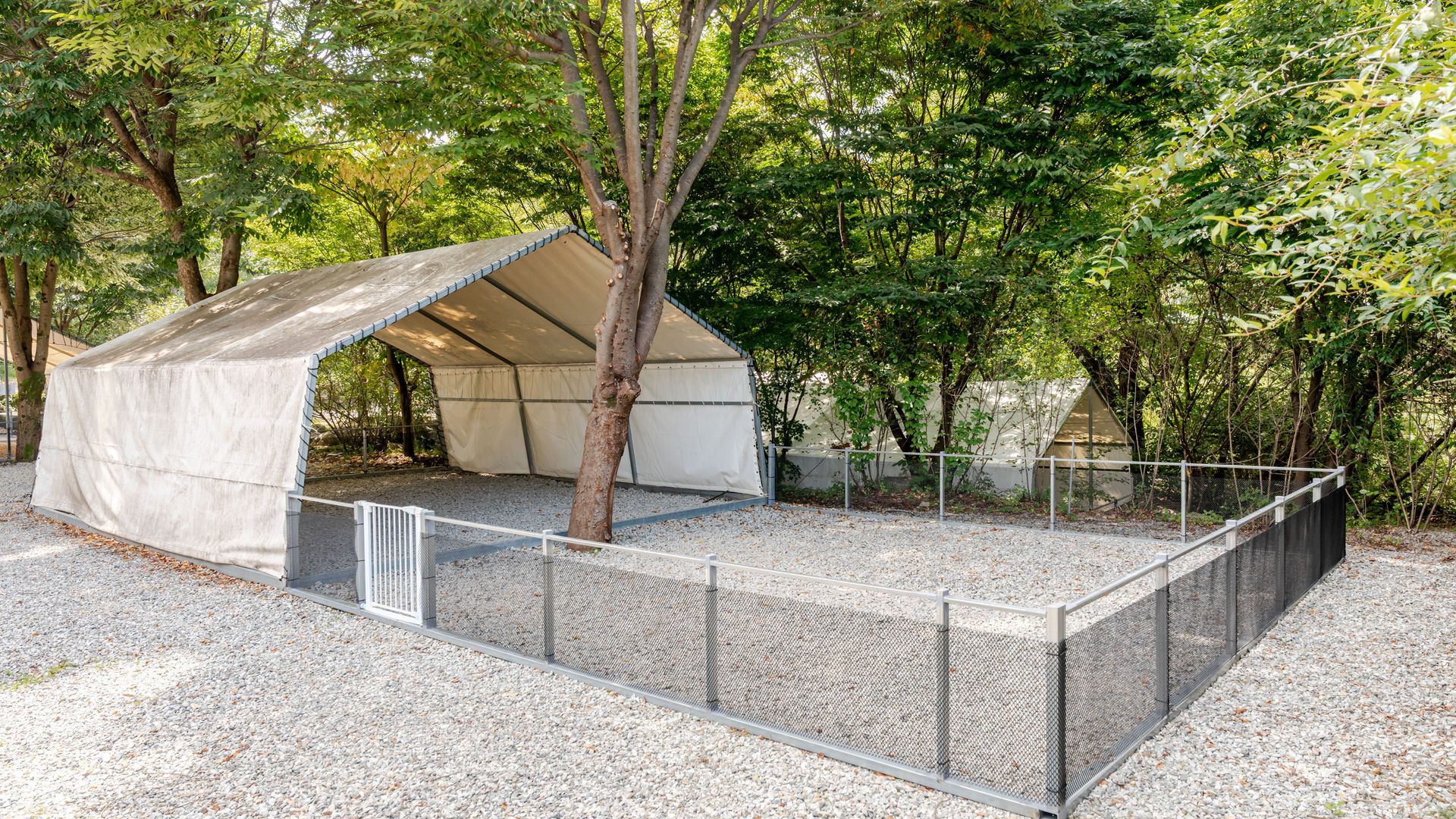 A covered outdoor area with a fenced enclosure, surrounded by trees and gravel.