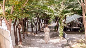 A pathway lined with trees, a person walking a dog, and a covered structure in the background. - Gapyeong High Mong Glamping & Camping (Gapyeong)