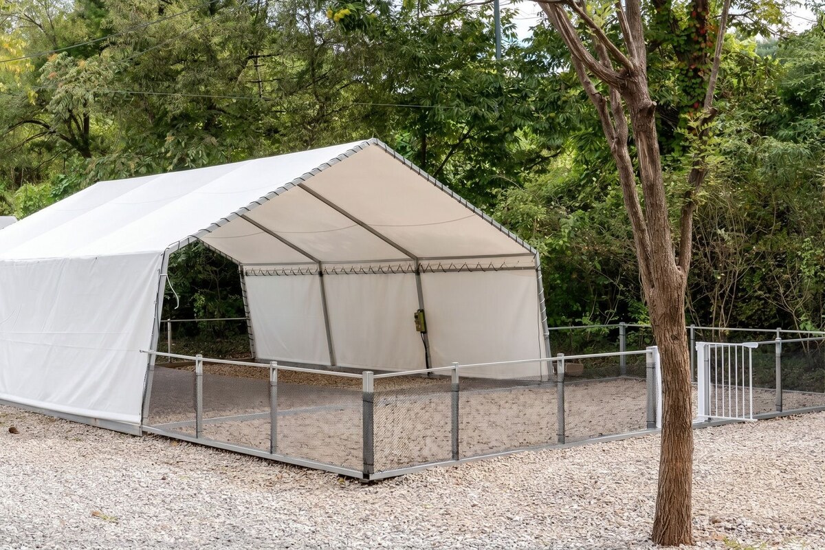 Een witte tent met een metalen hek ervoor, gelegen op een grindpad met bomen op de achtergrond.