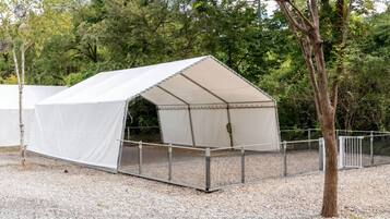 A white tent with a metal fence in front, set on gravel ground with trees in the background.