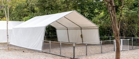 Une tente blanche, protégée par une clôture métallique, est installée sur un sol de gravier, avec des arbres en arrière-plan.