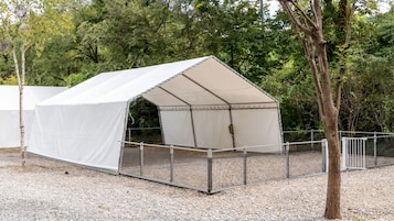 Una carpa blanca con una cerca metálica al frente, sobre suelo de grava y árboles de fondo.