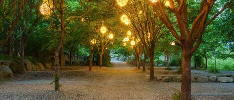 A pathway lined with trees and illuminated by spherical lights.