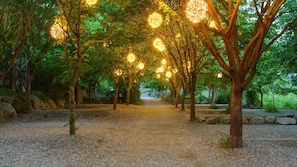 Un sendero bordeado de árboles e iluminado por luces esféricas.