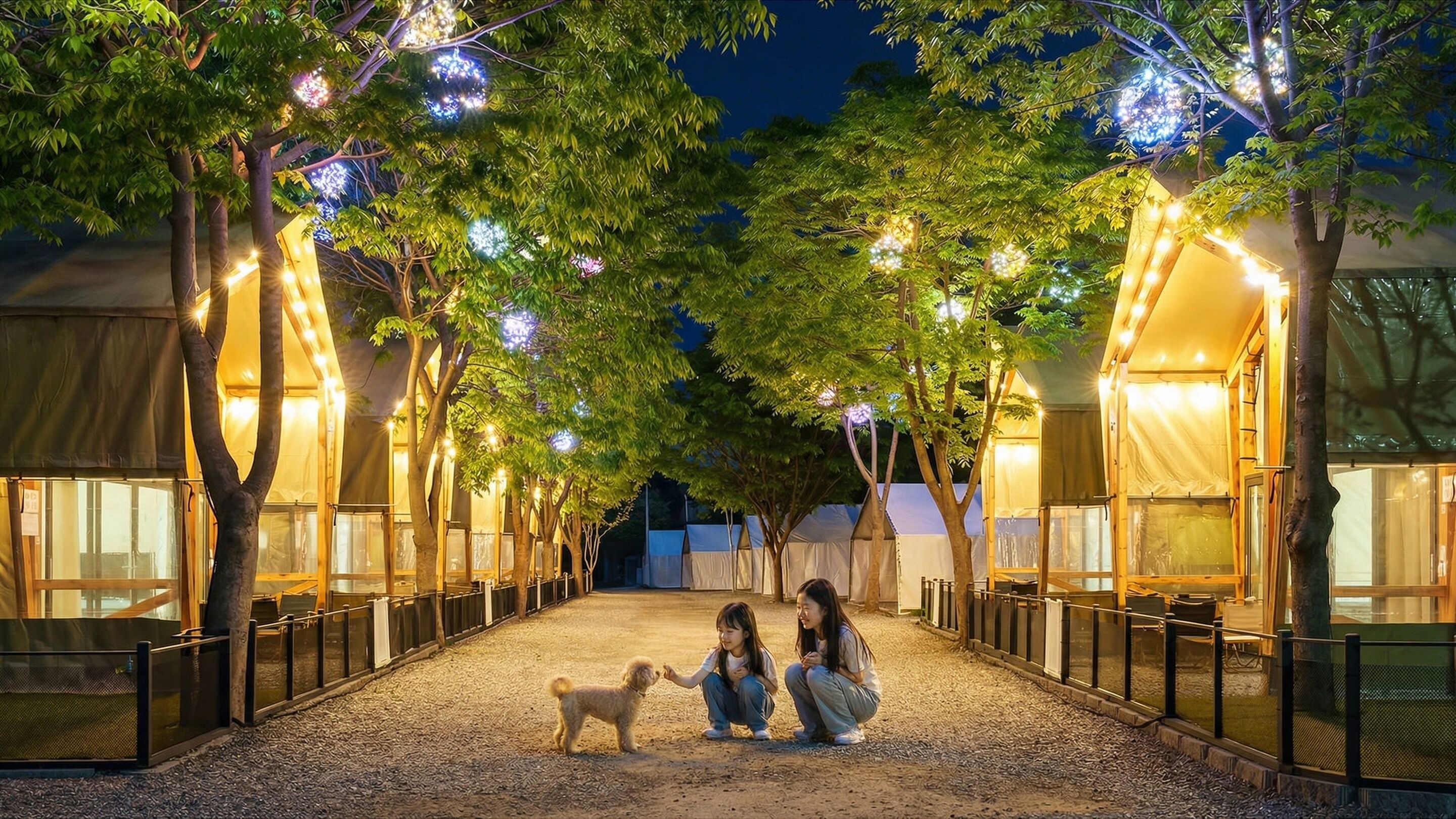 المنشأة من الخارج