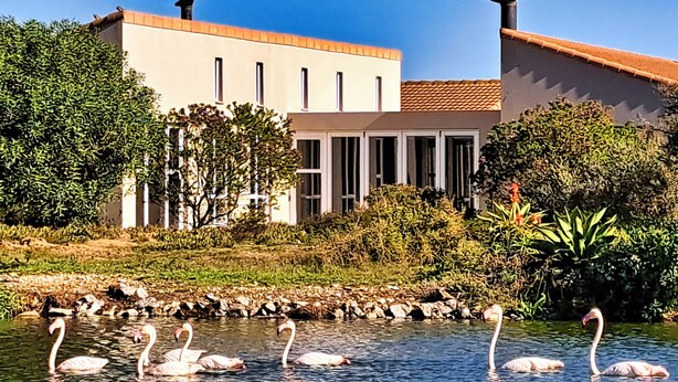 A building with a flat roof and a water feature with swans. - La Maison, Langebaan 6-sleeper (Langebaan)