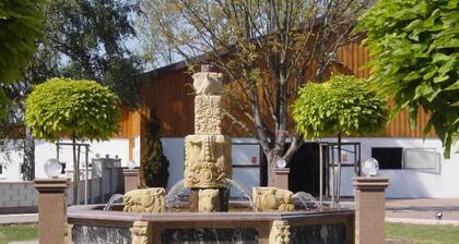 Modern vacation apartment on an idyllic stud farm with pool - pure nature, dogs allowed