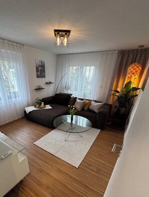 Smart TV, lareira, livros, videoteca