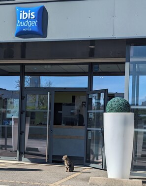 Das Äußere eines ibis budget Hotels mit einem großen Blumentopf und einer Katze davor.