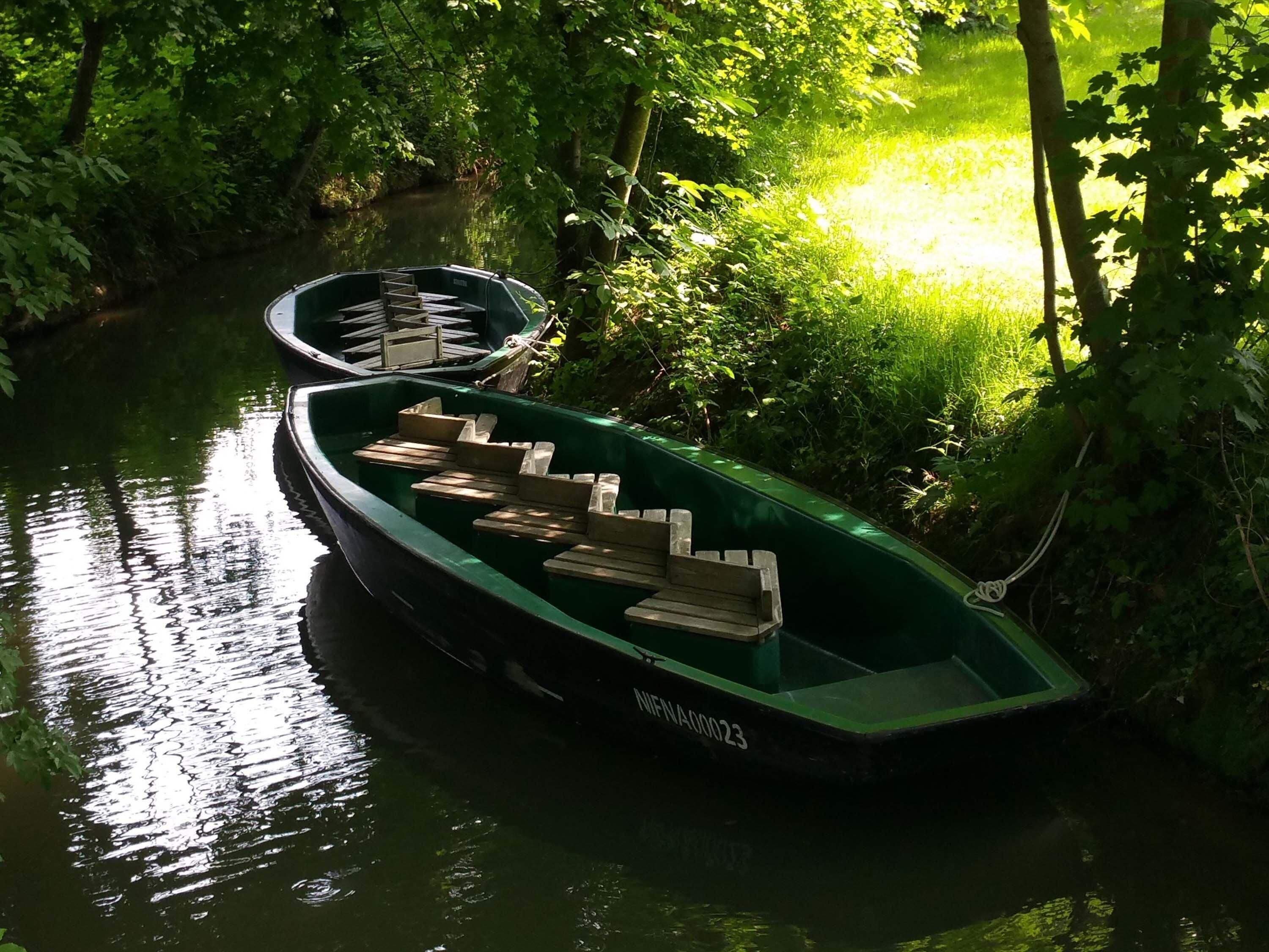 Un bote verde amarrado en un río tranquilo, rodeado de abundante vegetación.