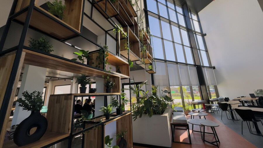 ibis Puerto General San Martin