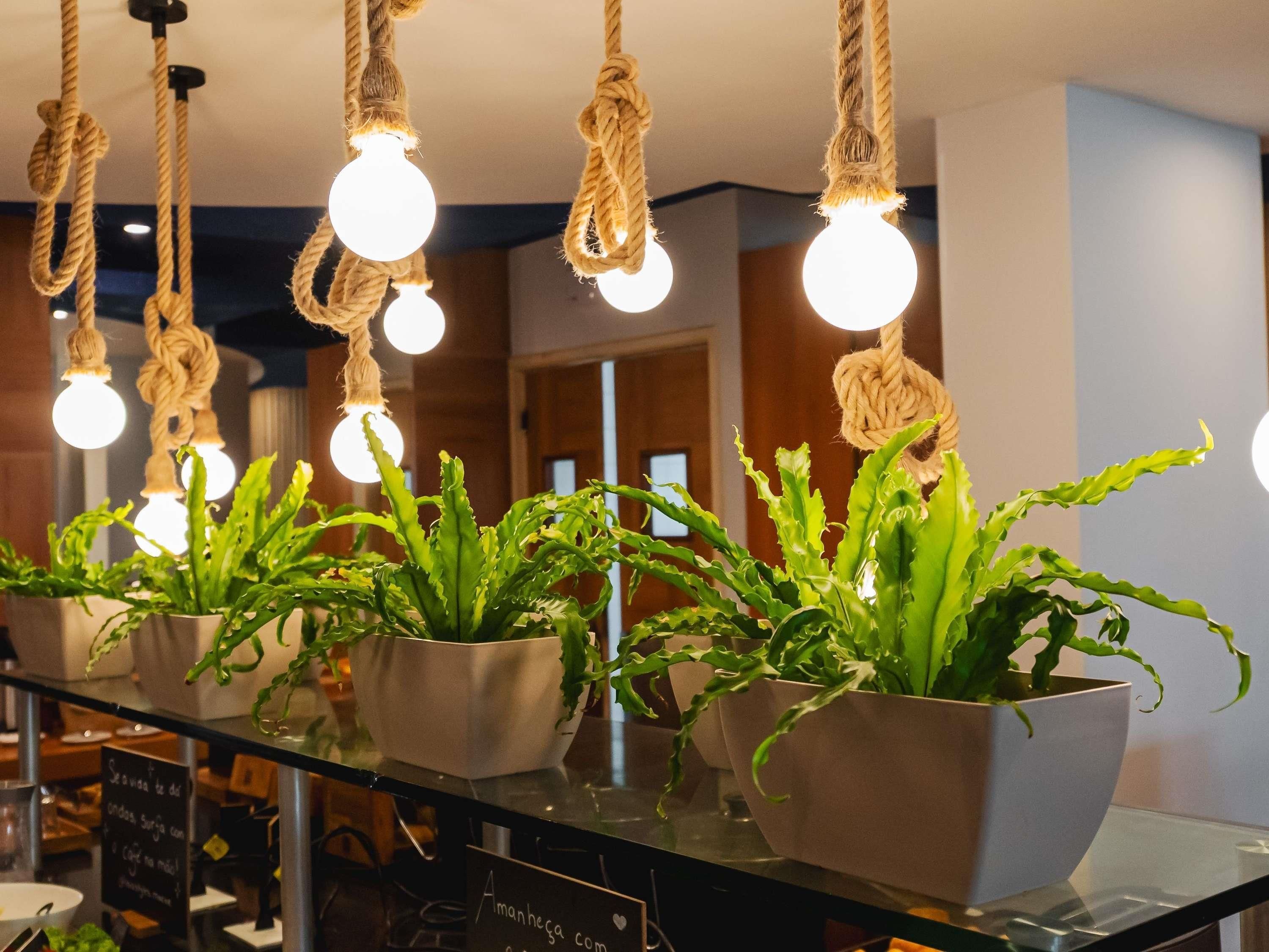 Interior de restaurante com luzes de corda penduradas e plantas em vasos no balcão.
