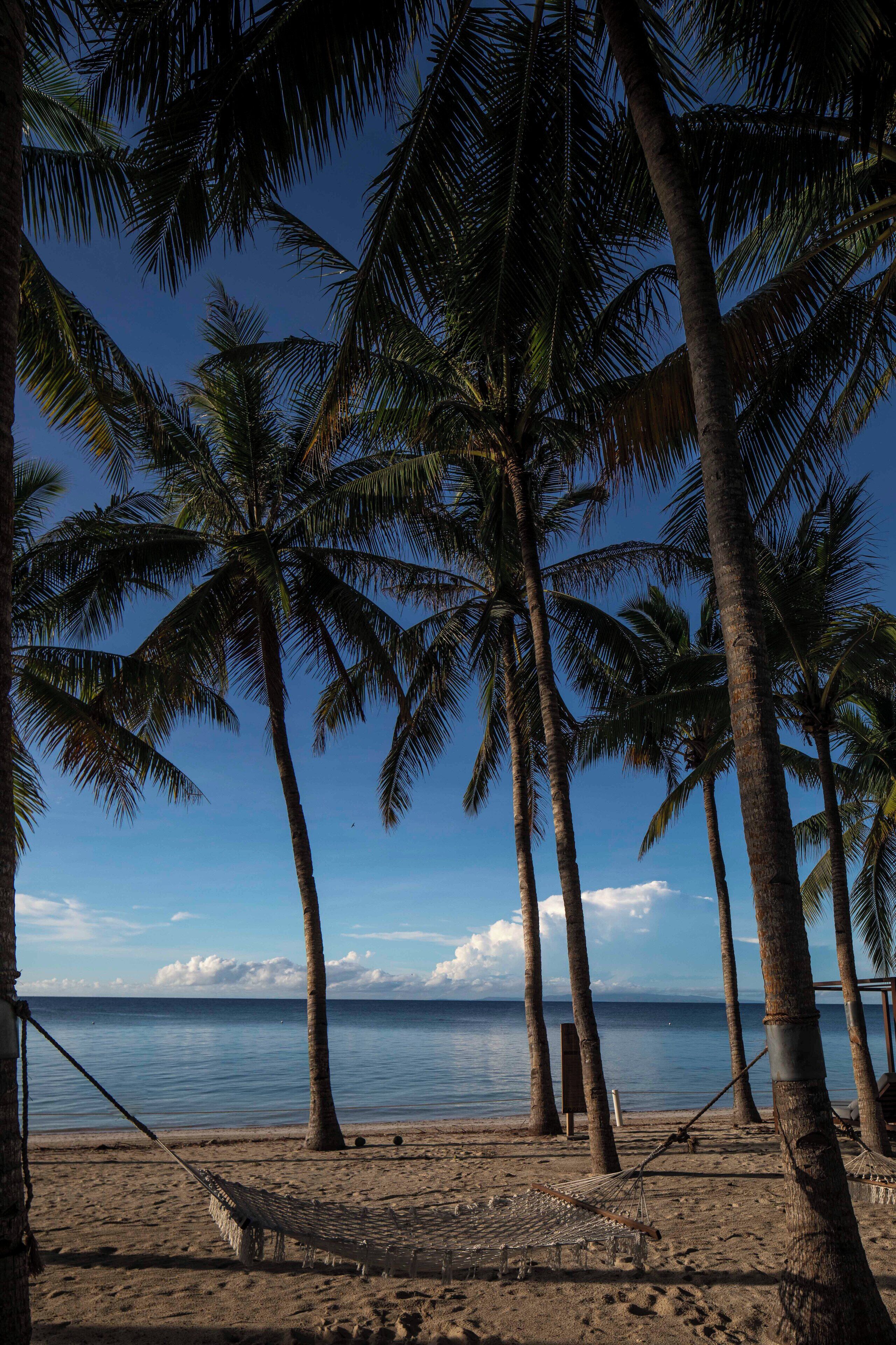 A beach with palm trees and a hammock.