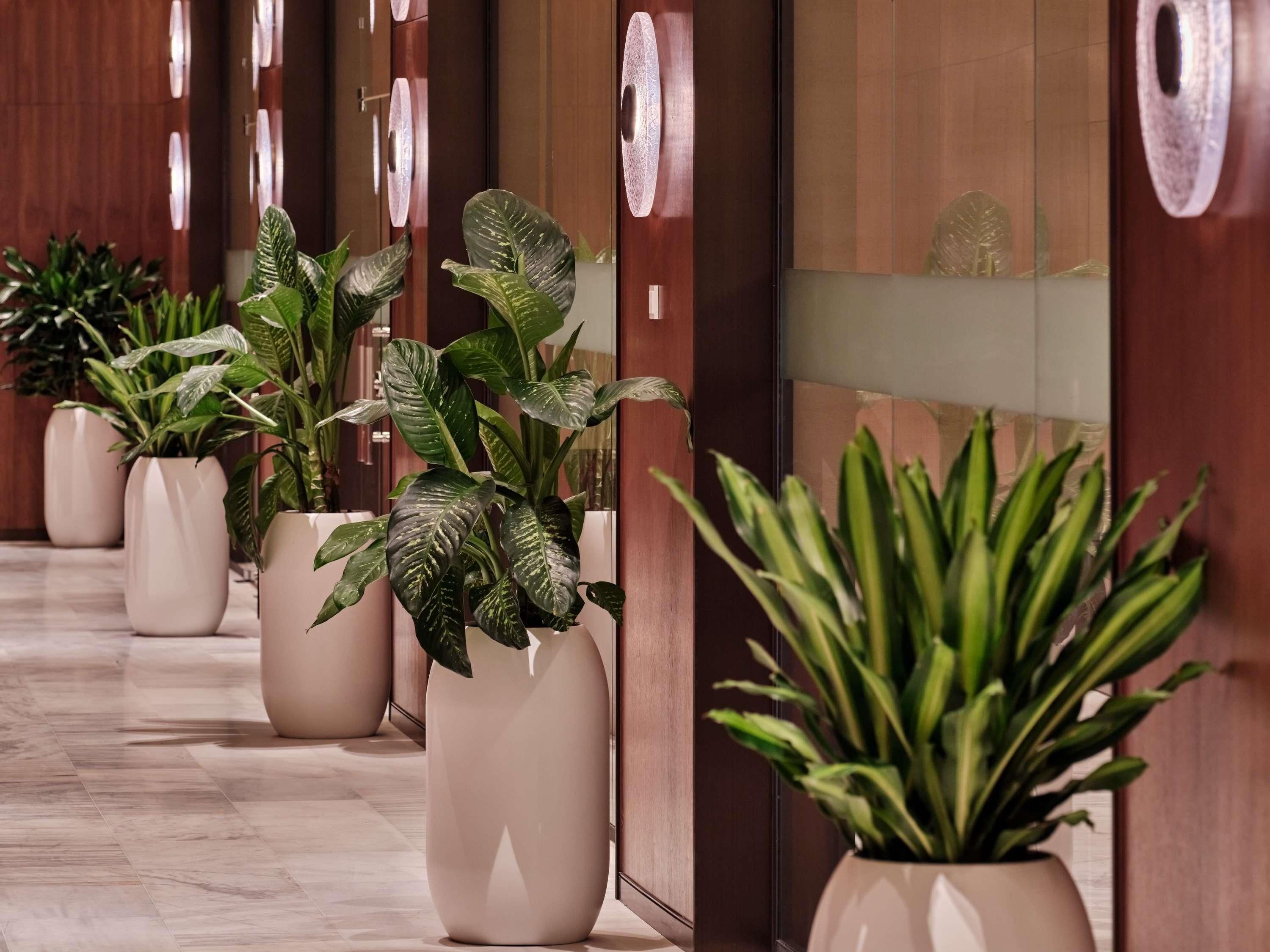 Un couloir agrémenté de plantes en pot, doté de murs en bois et d’un sol en marbre.