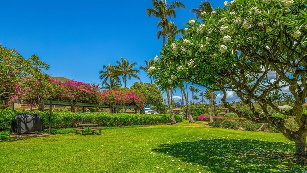 A well-maintained garden with a picnic table, palm trees, and flowering plants. - Regency Villas 212 Lush Garden By Suite Paradise (Koloa)