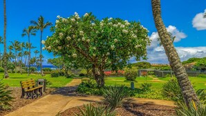A pathway leading to a bench in a lush garden with palm trees and a large flowering tree. - Regency Villas 212 Lush Garden By Suite Paradise (Koloa)