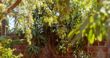 Kilimanjaro sons Homestay