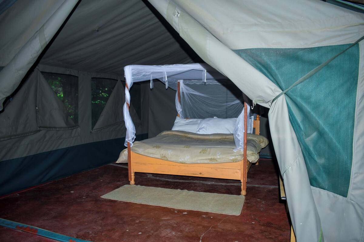 A tent with a bed, a small rug, and a window.