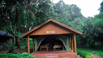 Vista al jardín