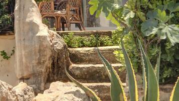 Un jardín con una formación rocosa, una silla y una planta de aloe grande.