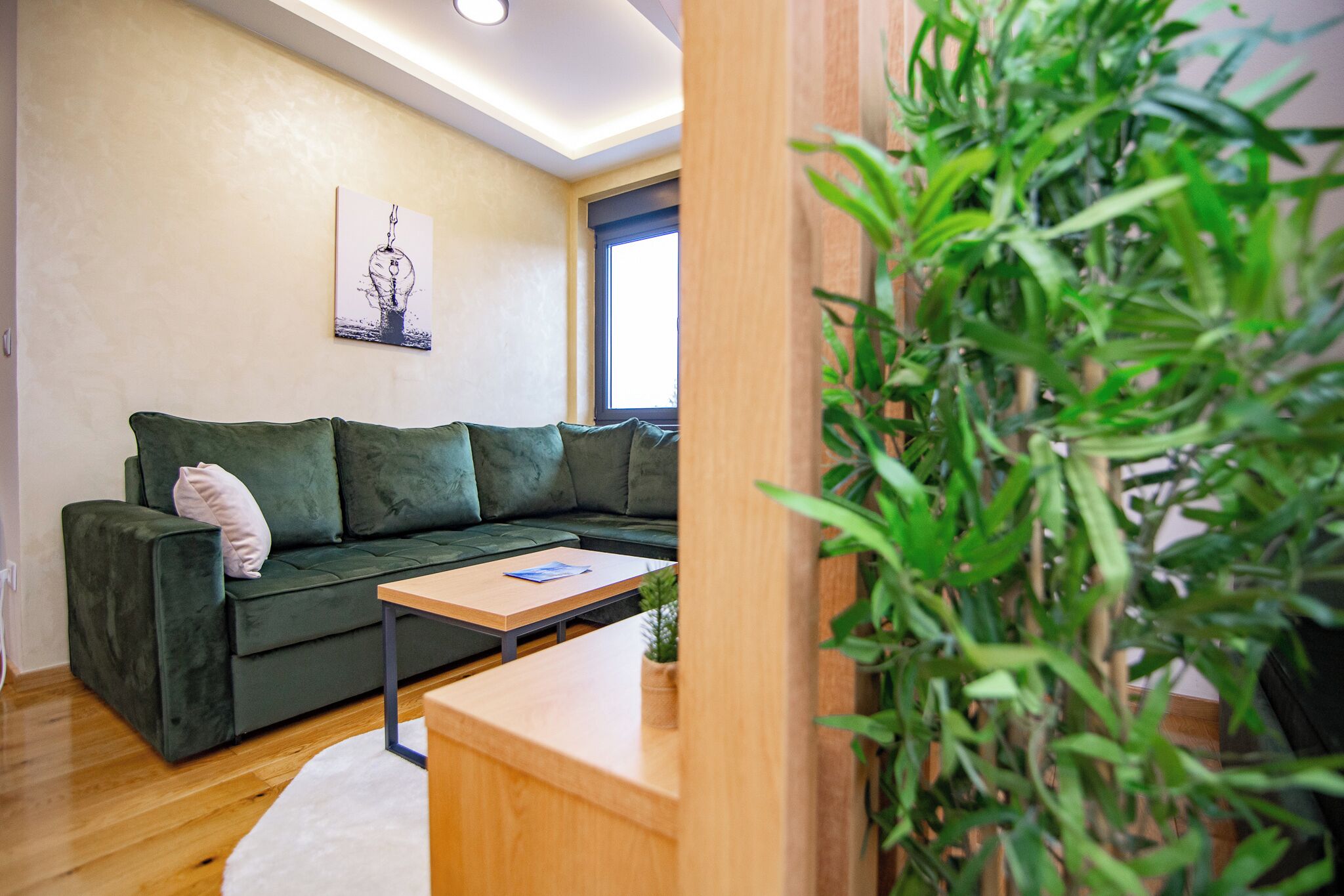 A modern living room with a green sofa, a wooden coffee table, and a potted plant.