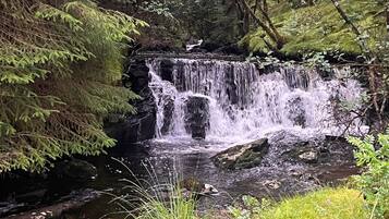 Cabin | Miscellaneous