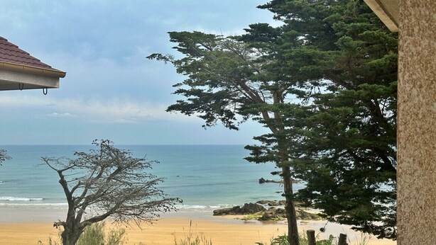 Vista de una playa con orilla arenosa, un árbol y un edificio en primer plano.