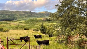 A rural landscape with a grassy field, a wooden fence, and a metal gate. - Double Room, Crianlarich, whw (Crianlarich)