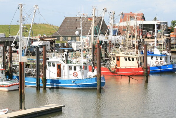 Marina - Vacation home Bannos Kajüte Ferienpark Butjadingen Fedderwardersiel near the beach (Butjadingen)