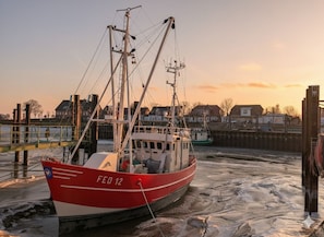 Port de plaisance