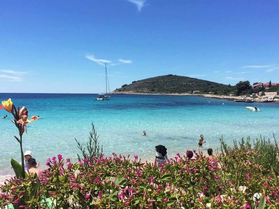 Plage, sable blanc, bar de plage
