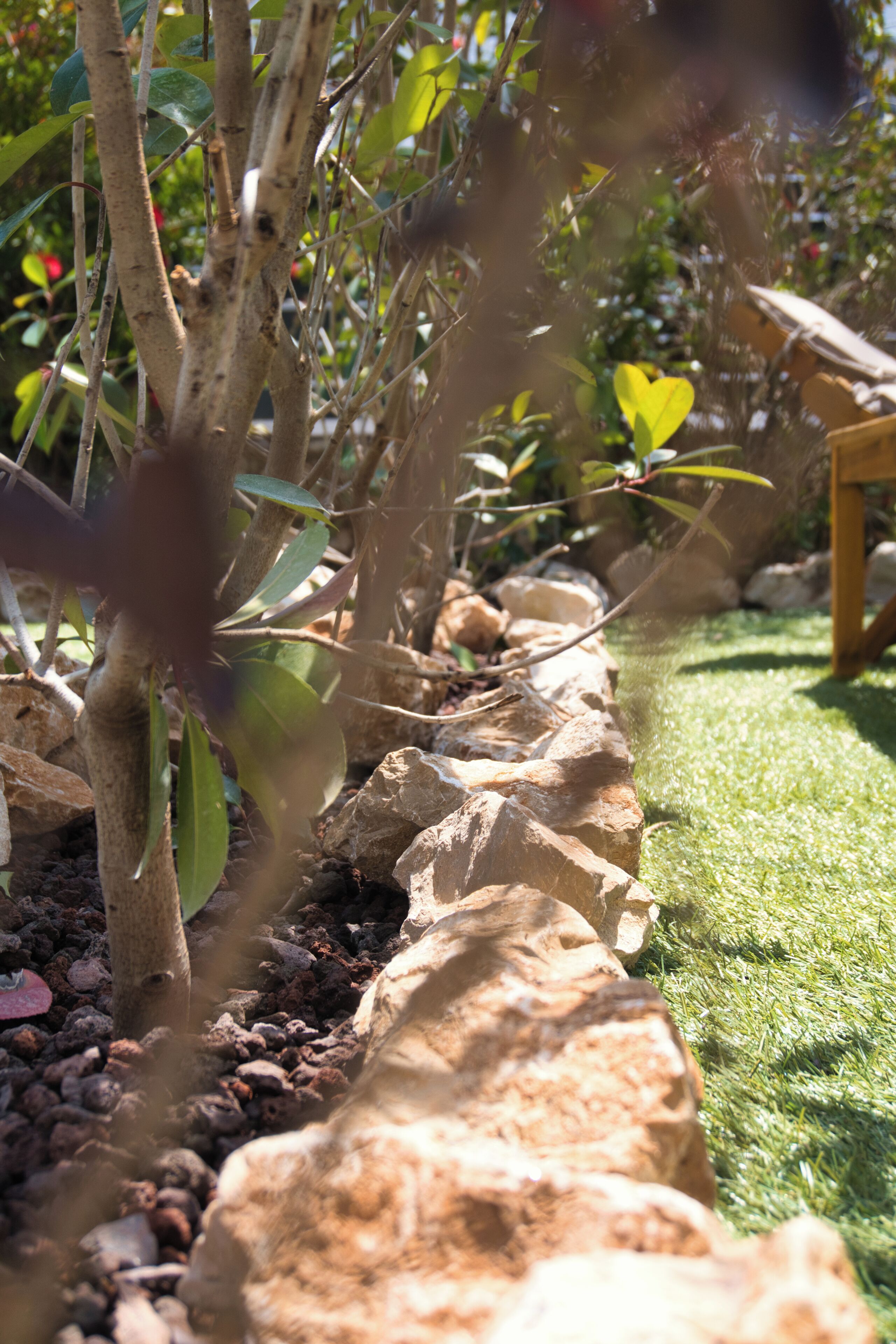 Jardín con borde de piedras, césped verde y diversas plantas.