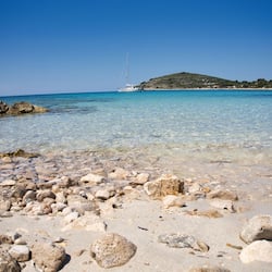 Plage, sable blanc, bar de plage