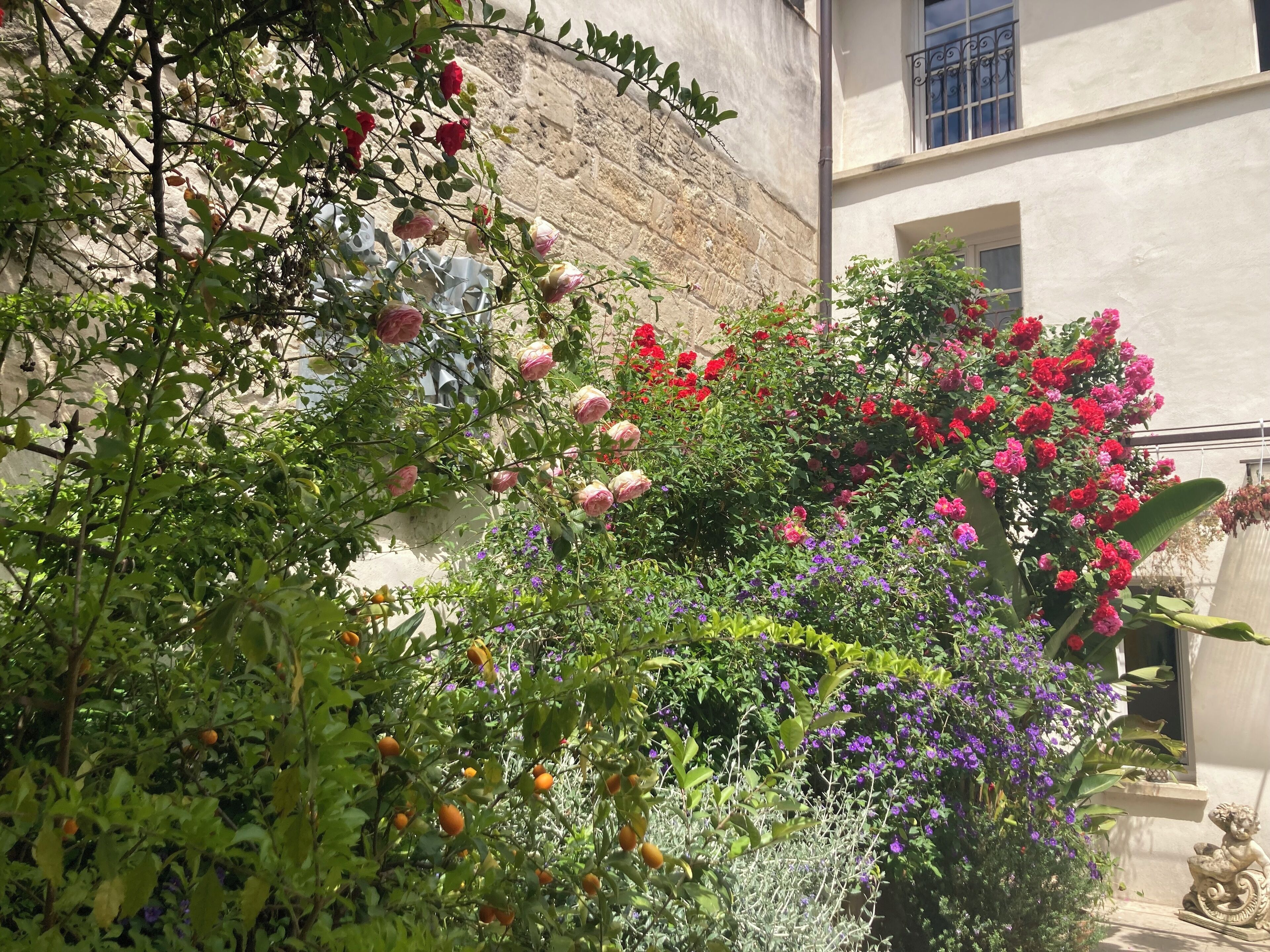 Urbain V Spa &amp; Fitness (accessible) | Terrace/patio