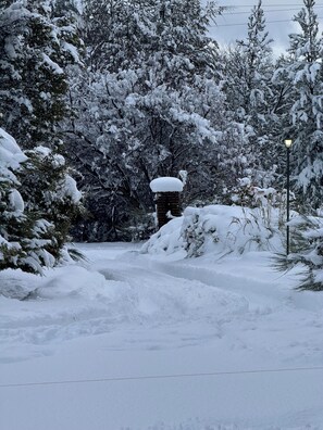 Property grounds - Alma Andina mountain house (San Martín de los Andes)
