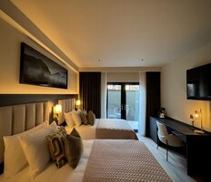 Deluxe Twin Room | Terrace/patio