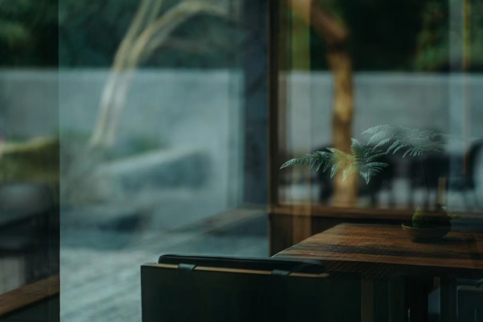 A wooden table with a potted plant and a small bowl.