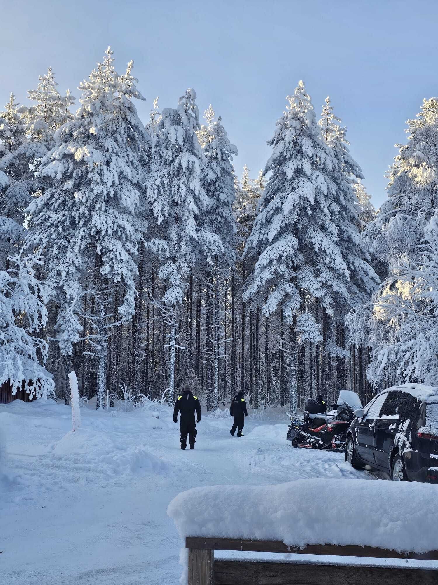 A snowy forest with tall evergreen trees, a wooden bench, and a parked car.