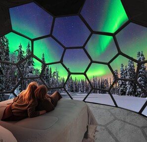 Luxury Cottage, Garden View - SKOG - Aurora igloos (Kalix)