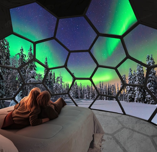 SKOG - Aurora igloos